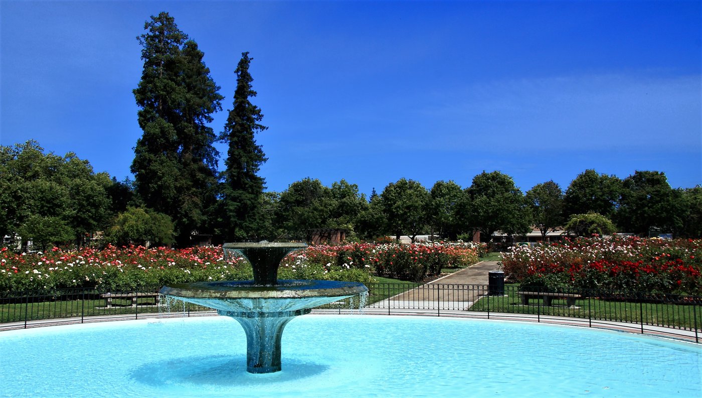 Municipal Rose Garden